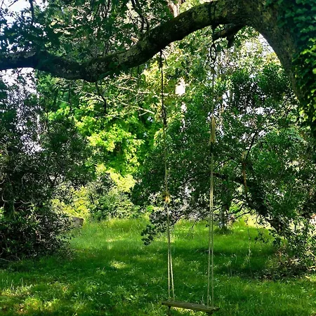 Casa de Férias Maison Confortable 6 Pers Sanguinet