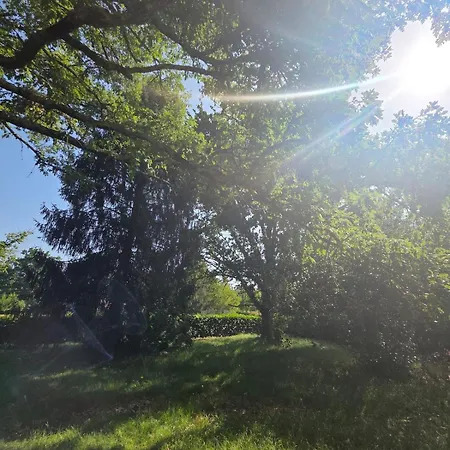 Maison Confortable 6 Pers * Sanguinet