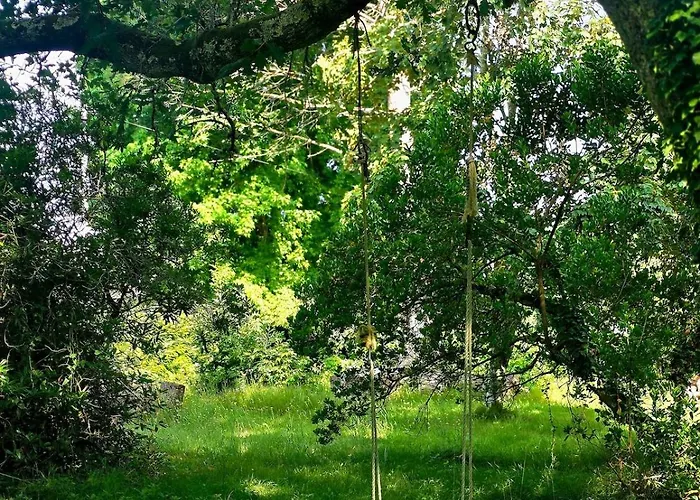 Feriehus Maison Confortable 6 Pers Sanguinet