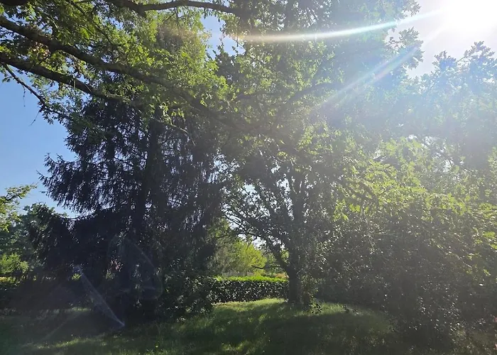 Maison Confortable 6 Pers * Sanguinet